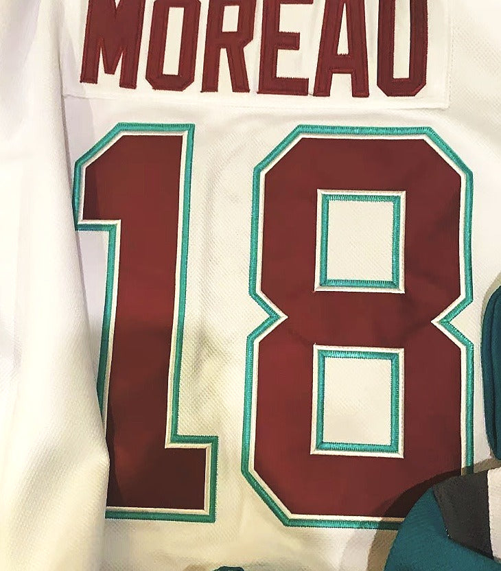 Custom Mighty Ducks White Hockey Jersey – Your Name & Number