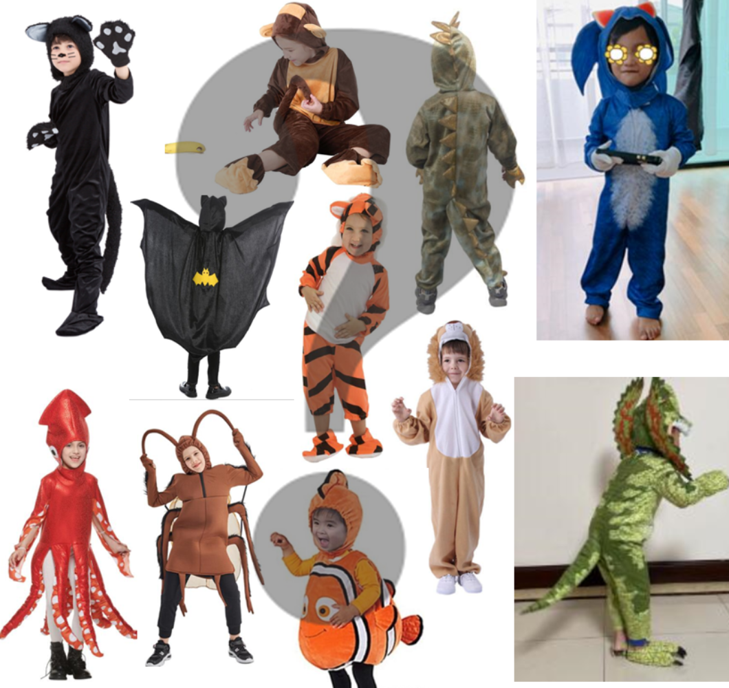 Mystery Box - Boys Halloween Costume / Party Gift,  Suitable for age 3-12